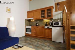 2 person executive 1 room apartment with city view, an extra bed, and private facilities